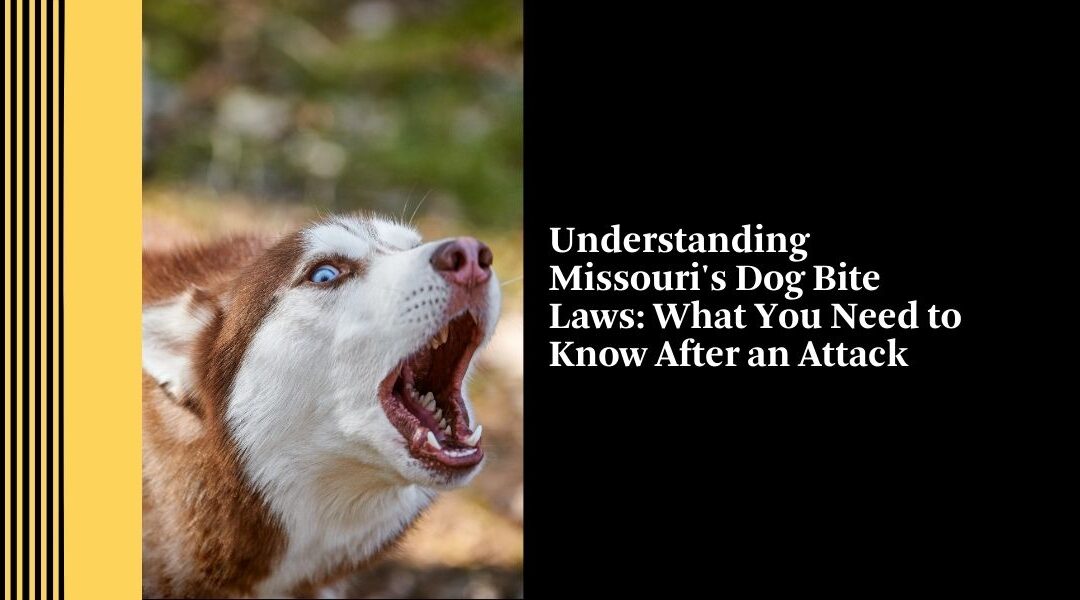 Understanding Missouri’s Dog Bite Laws: What You Need to Know After an Attack