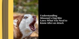 Understanding Missouri's Dog Bite Laws: What You Need to Know After an Attack