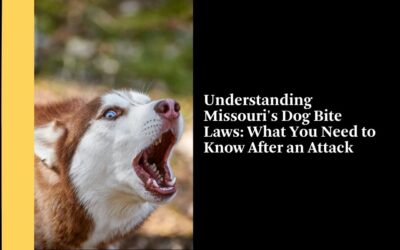 Understanding Missouri’s Dog Bite Laws: What You Need to Know After an Attack