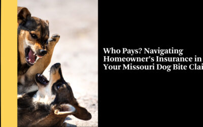 Who Pays? Navigating Homeowner’s Insurance in Your Missouri Dog Bite Claim